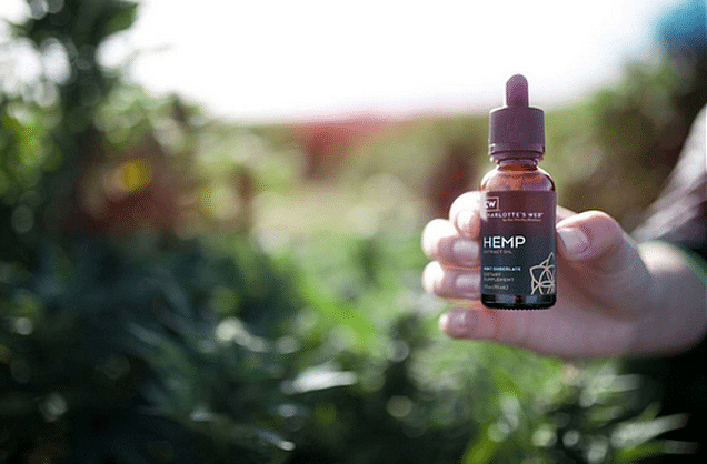 charlotes web cbd oil